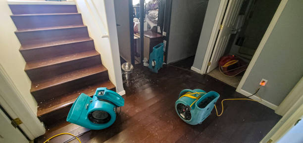 Professional Water damage restoration in South Wallins, KY