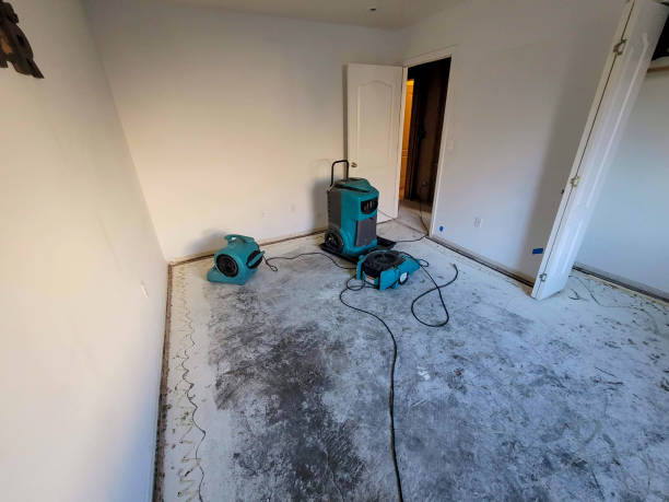 Best Ceiling water damage repair  in South Wallins, KY