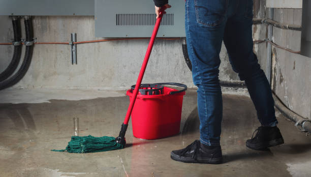 Best 24-hour water damage restoration  in South Wallins, KY