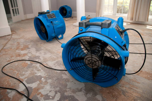 Local water damage restoration in South Wallins, KY