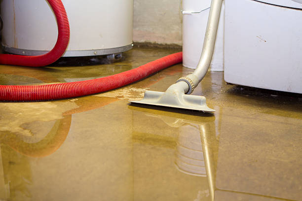 Best Water damage restoration cost  in South Wallins, KY