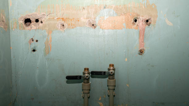 Best 24-hour water damage restoration  in South Wallins, KY