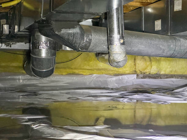 Best Emergency water extraction  in South Wallins, KY