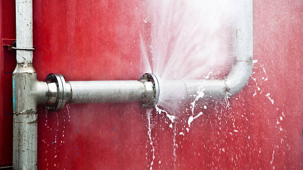  South Wallins, KY Water damage restoration Pros