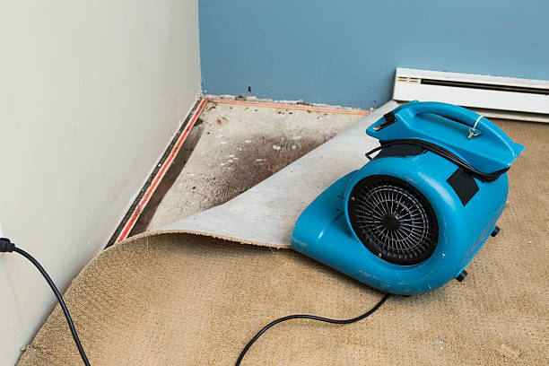 Best Water damage restoration process  in South Wallins, KY